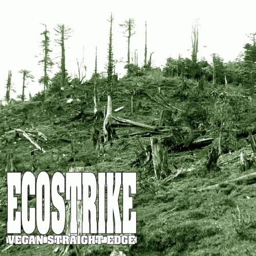 Ecostrike : Demo 2016